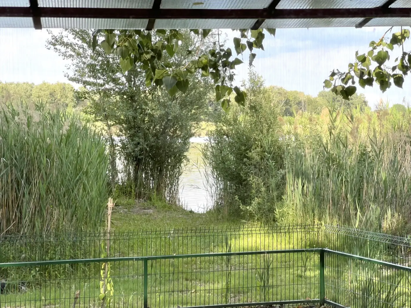 A Vízparti Nyaraló teraszáról a Vadkerti-tóra néző kilátás